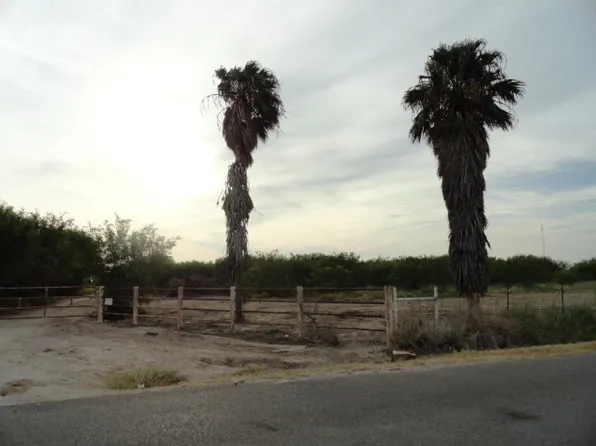 1809 N Los Ebanos Blvd, Alton, TX 78573