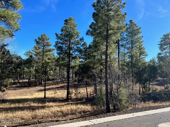 2260 S Snowy Ridge Loop, Show Low, AZ 85901