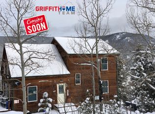 9 McDougal Rd, Bailey, CO 80421