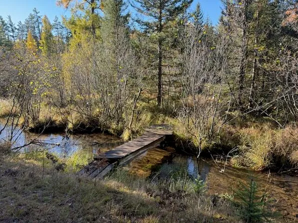 V/l 579a Long Shaw Trl, Grayling, MI 49738