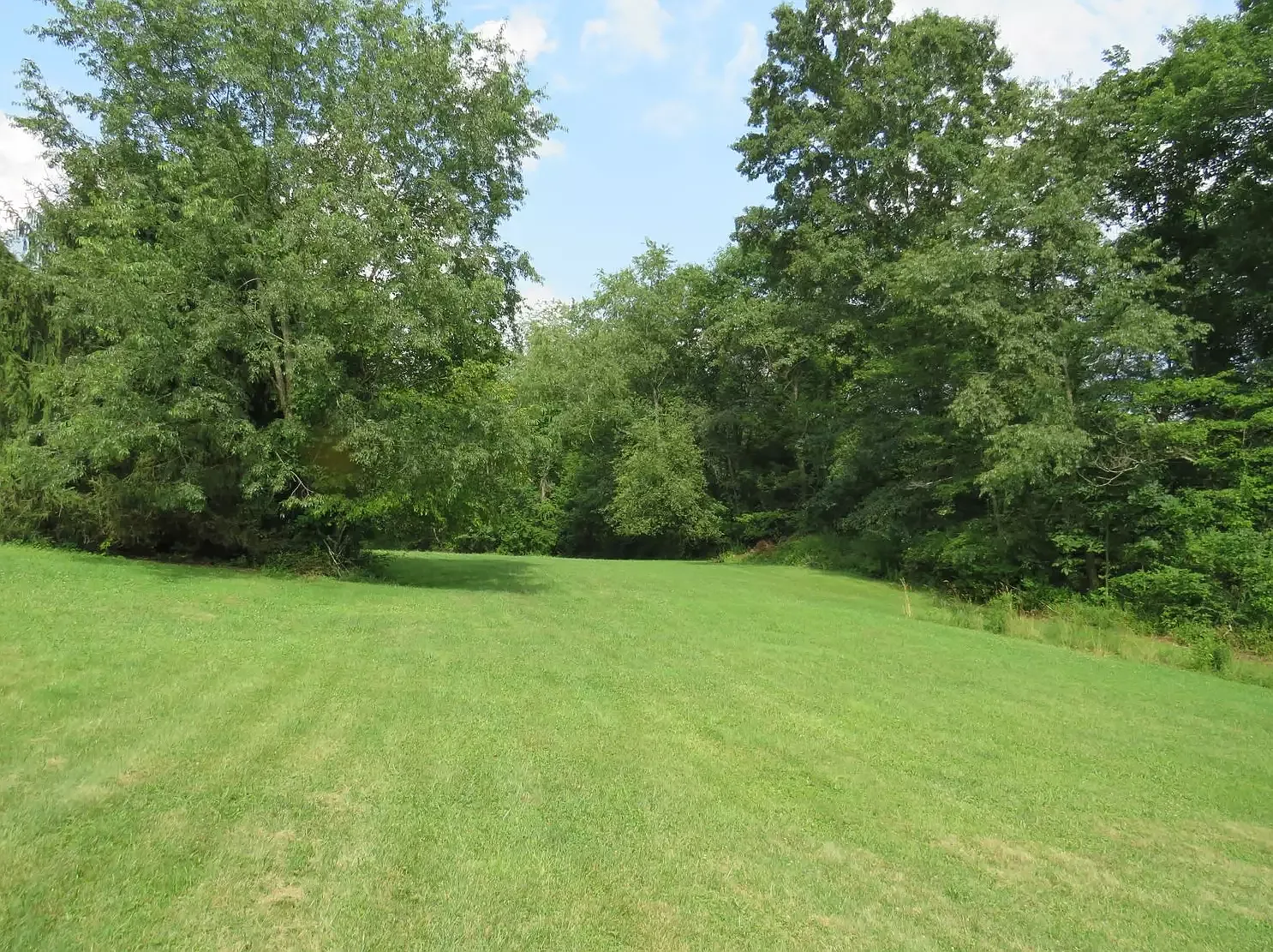 3 bed, 1014 sqft, $1,600 — Photo 3