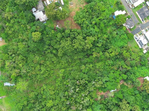 State Highway 658, Arecibo, PR 00612