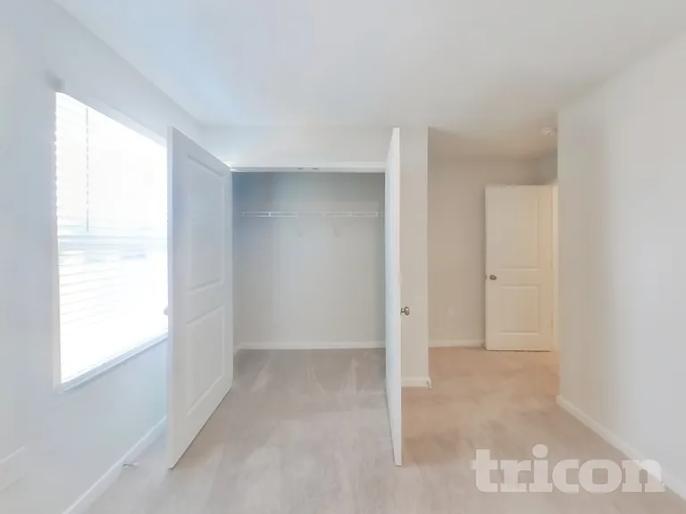 64 Brazil Nut Cir — Photo 12
