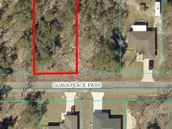 0 Guava Place Pass #10, Ocklawaha, FL 32179