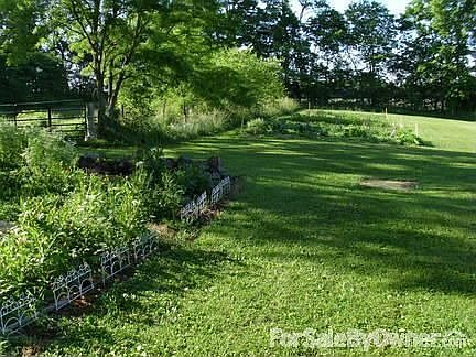 Garden plot and yard