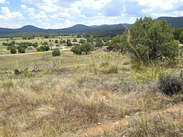 410-3 S Rolling Hills Rd, Young, AZ 85554