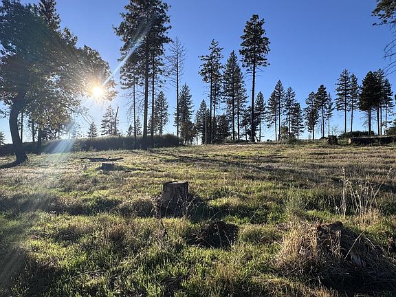 4th image of 12168 Granite Ridge Rd