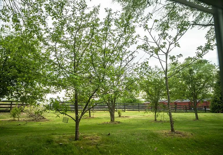 12 W Wind Ln — Photo 2