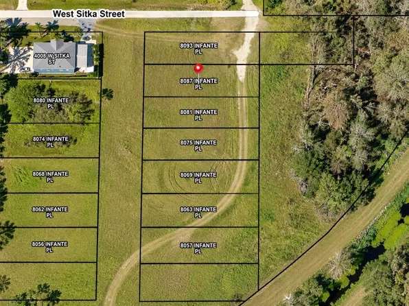 8087 INFANTE PLACE LOT 119, TAMPA, FL 33614