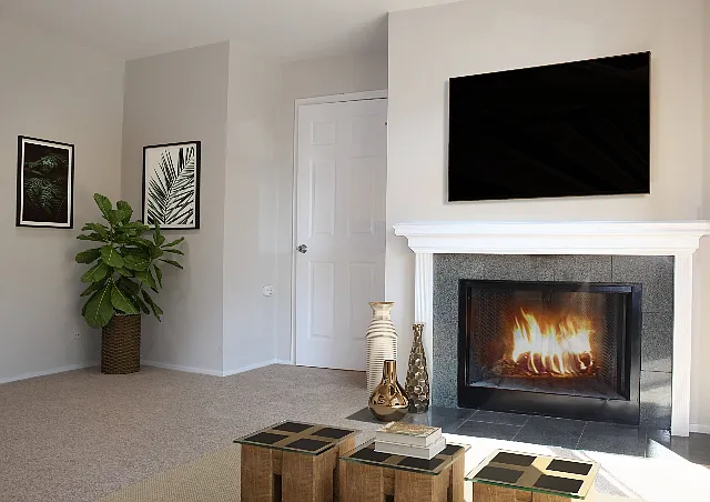 2 Bed 1 Bath
