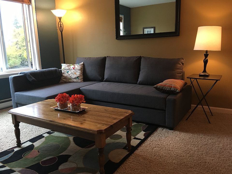 Living room w/new sleeper sofa