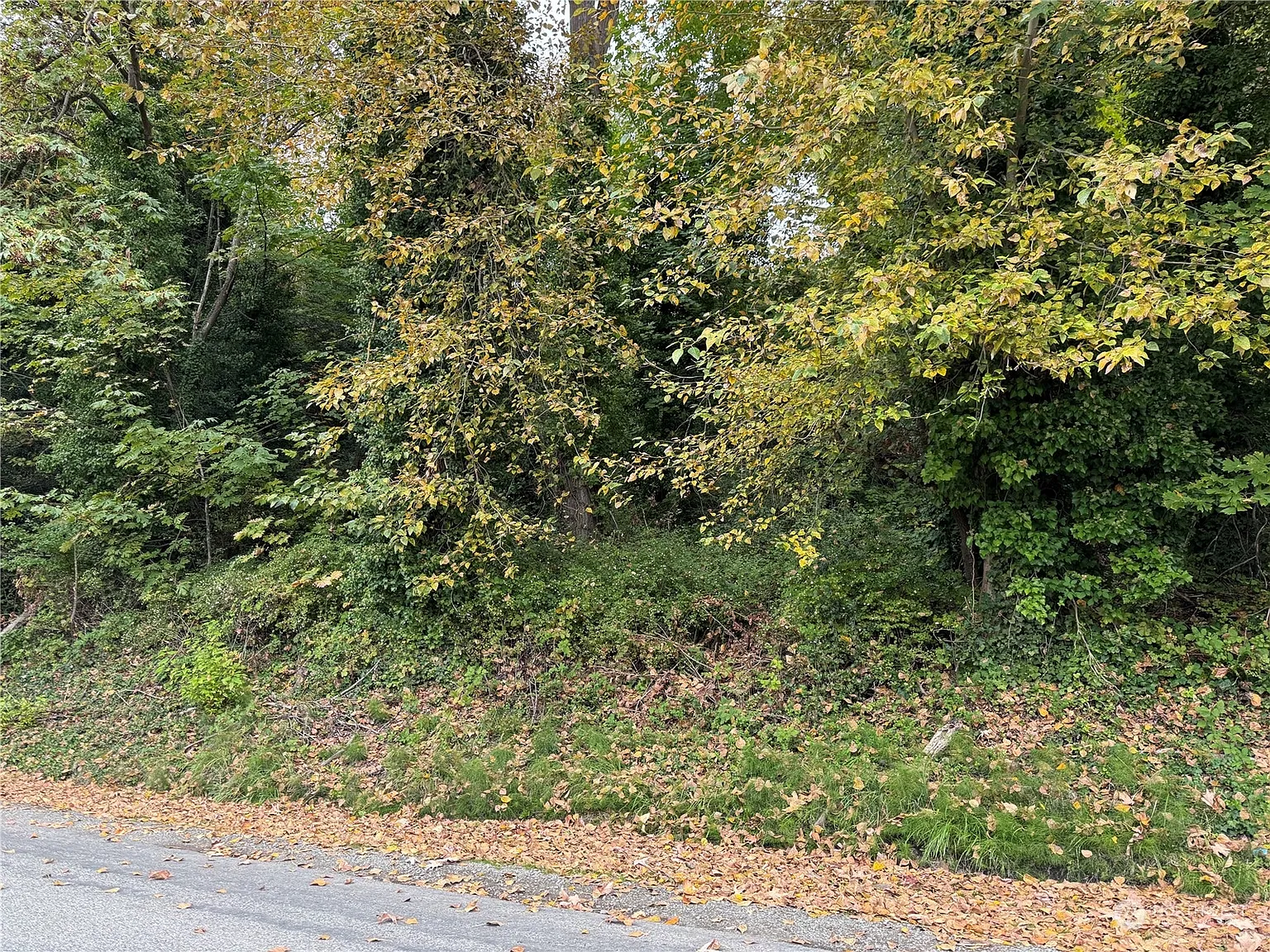 12 Blodgett Road photo 1