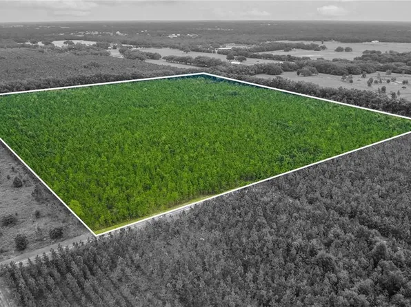 0 SE 62nd Pl, Morriston, FL 32668