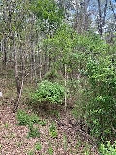 2nd image of 2624 Hixson Pike