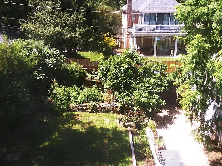 View of backyard