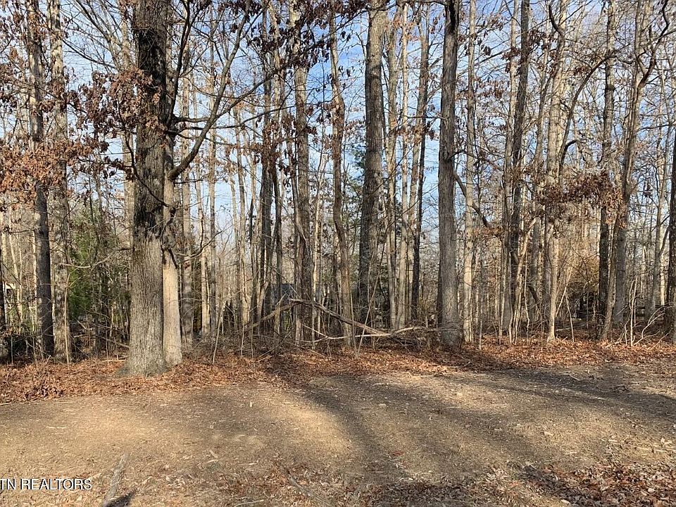 2nd image of 119 Glenwood Dr