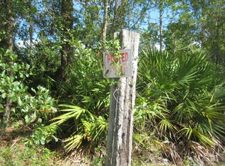 0 Cattail St, Middleburg, FL 32068