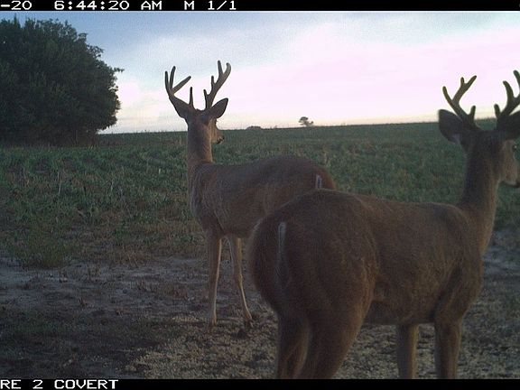 2nd image of 11 Road Lot Wp001