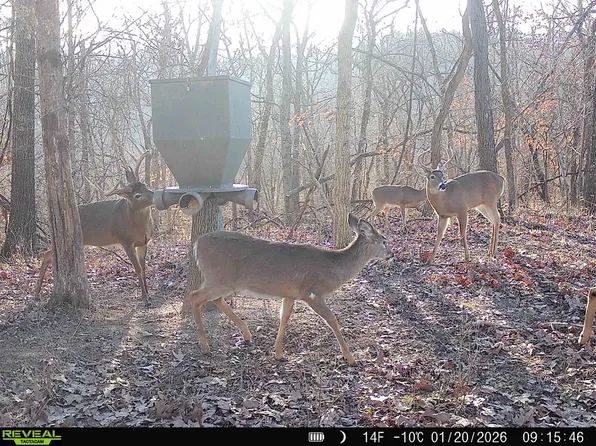 0 Kemper Hollow Rd #40AC, Gallipolis, OH 45631