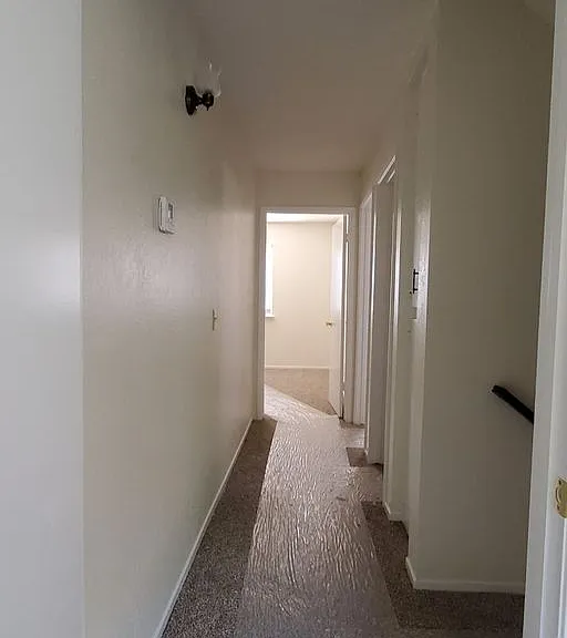 812 Emerald Ct — Photo 14