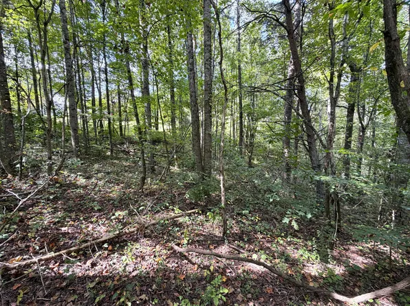 LOT 25 East Dr, Parrottsville, TN 37843