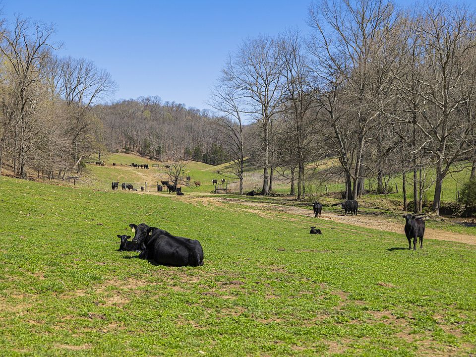 13th image of this home