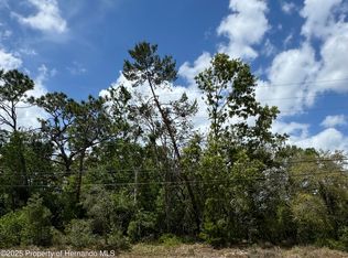 Waterfall Dr, Spring Hill, FL 34608