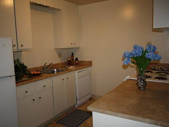 Plentiful Counter Space