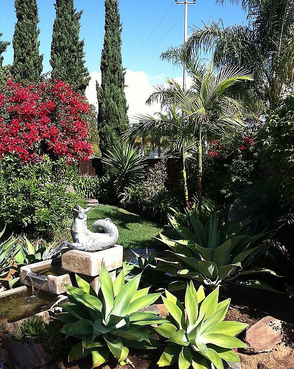 1st image of 445 San Domingo Dr