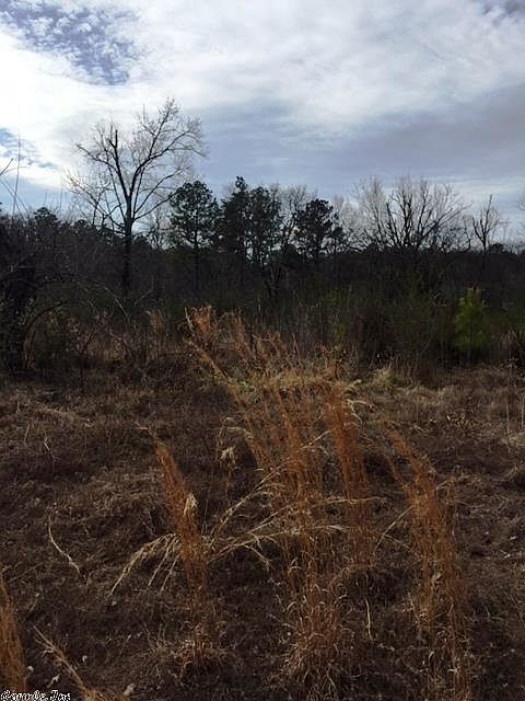 2nd image of 533 Brady Mountain Cutoff