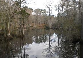 2nd image of 1998 Hoods Creek Dr