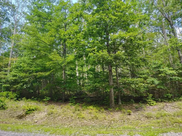 56 Ridgetop Ln #A, Tazewell, VA 24651