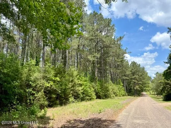0 Old State Line Rd, Tylertown, MS 39667