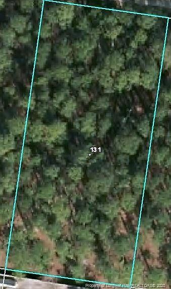 2nd image of 131 Pine Oak