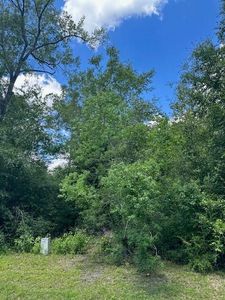 25 Hammock Ct, Wewahitchka, FL, 32465