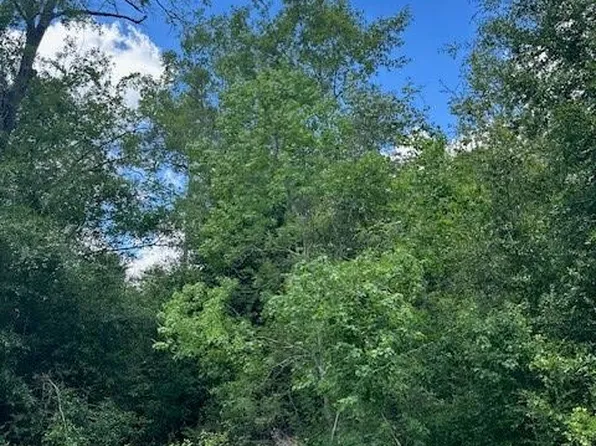 25 Hammock Ct, Wewahitchka, FL 32465