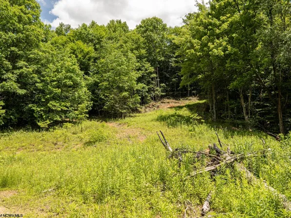 LOT 14 Lake Island Dr, Belington, WV 26250