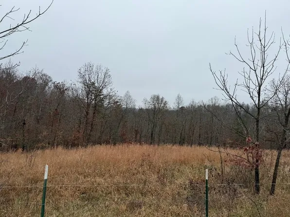 699 Wolf Rd, Olive Hill, KY 41164