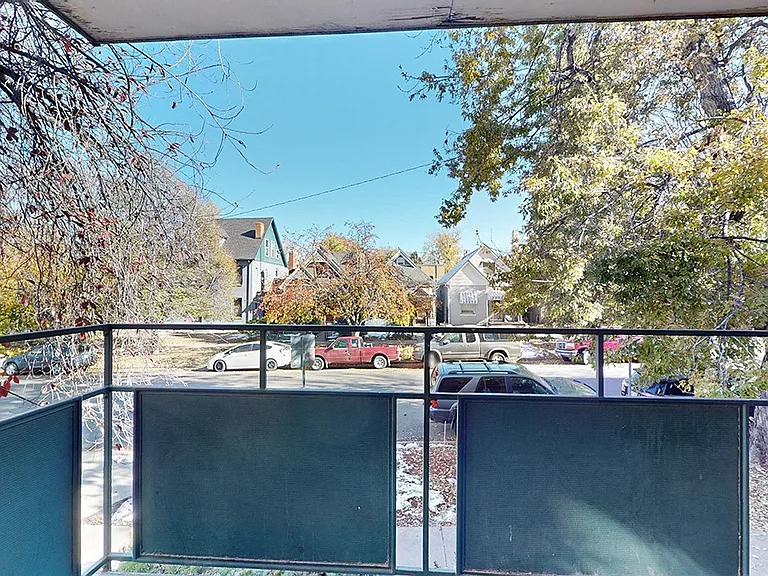 Tyler Park — Photo 12