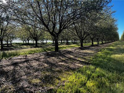 24186 Orangewood Rd, Corning, CA, 96021