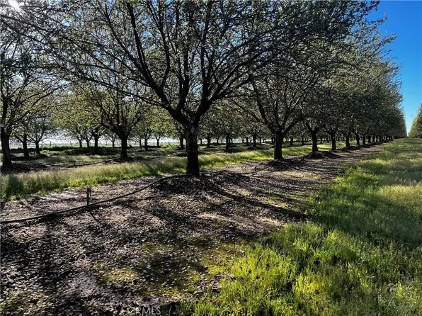 24186 Orangewood Rd, Corning, CA 96021