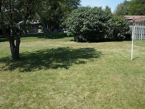 back yard