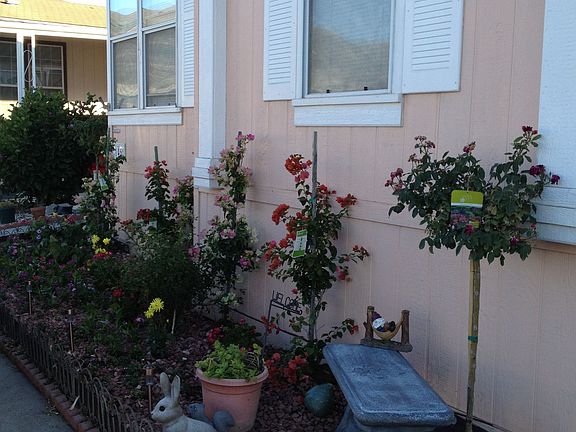 3rd image of 500 W Santa Maria St Space 145