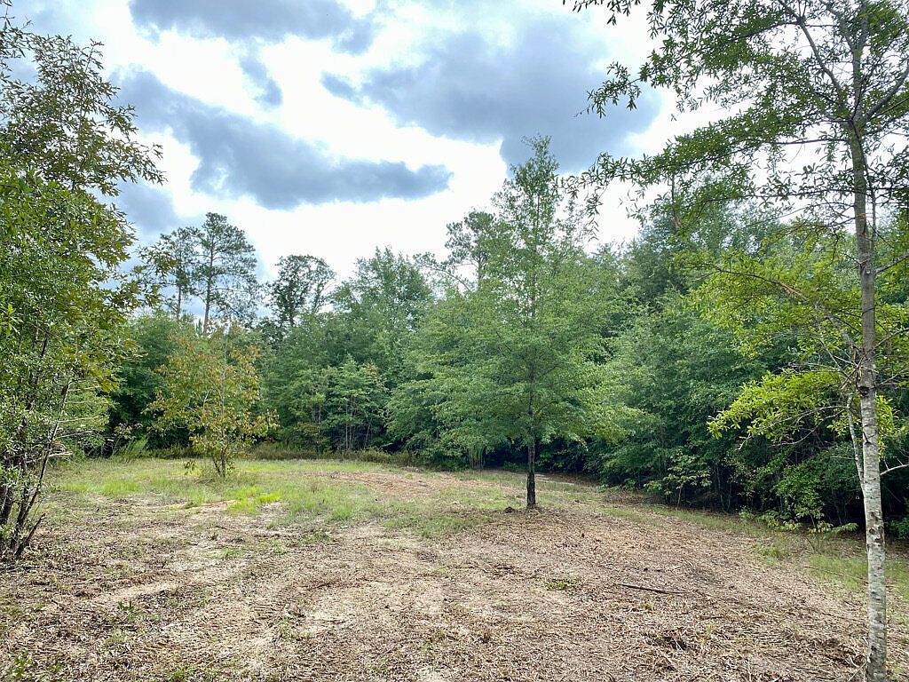 0 Us Highway 441, Irwinton, GA 31042 Zillow