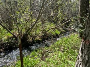 1150 Pokey Creek Rd, Santa, ID 83866