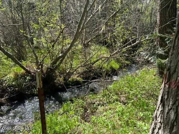 1150 Pokey Creek Rd, Santa, ID 83866