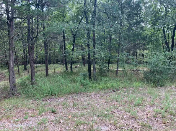 4 Ermalinda Ln, Hot Springs Village, AR 71909