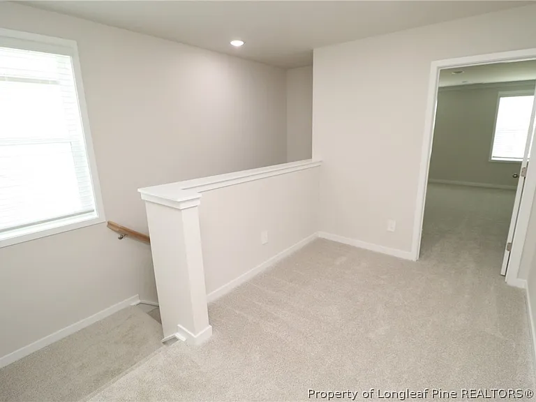 4121 Hazel Branch Way — Photo 17