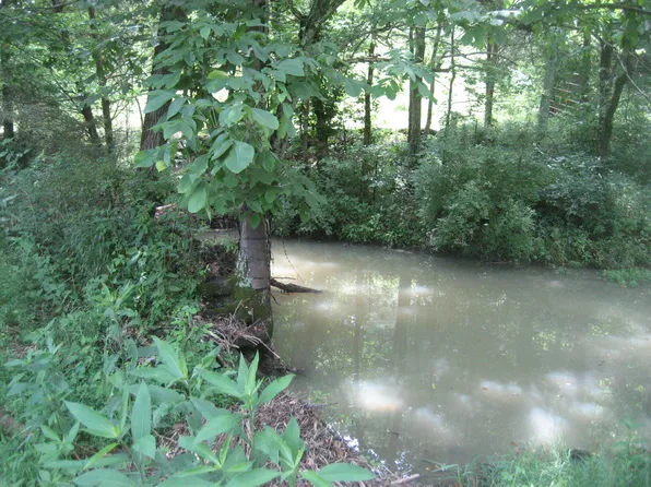0 Spider Rd, Berry, KY 41003