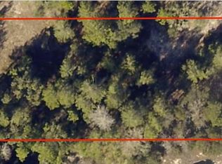 0 SW Paradise Heights Rd #18, Dunnellon, FL 34431
